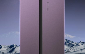 家中的立式冷柜！奥马533升MAX超大冷冻力冰箱上市